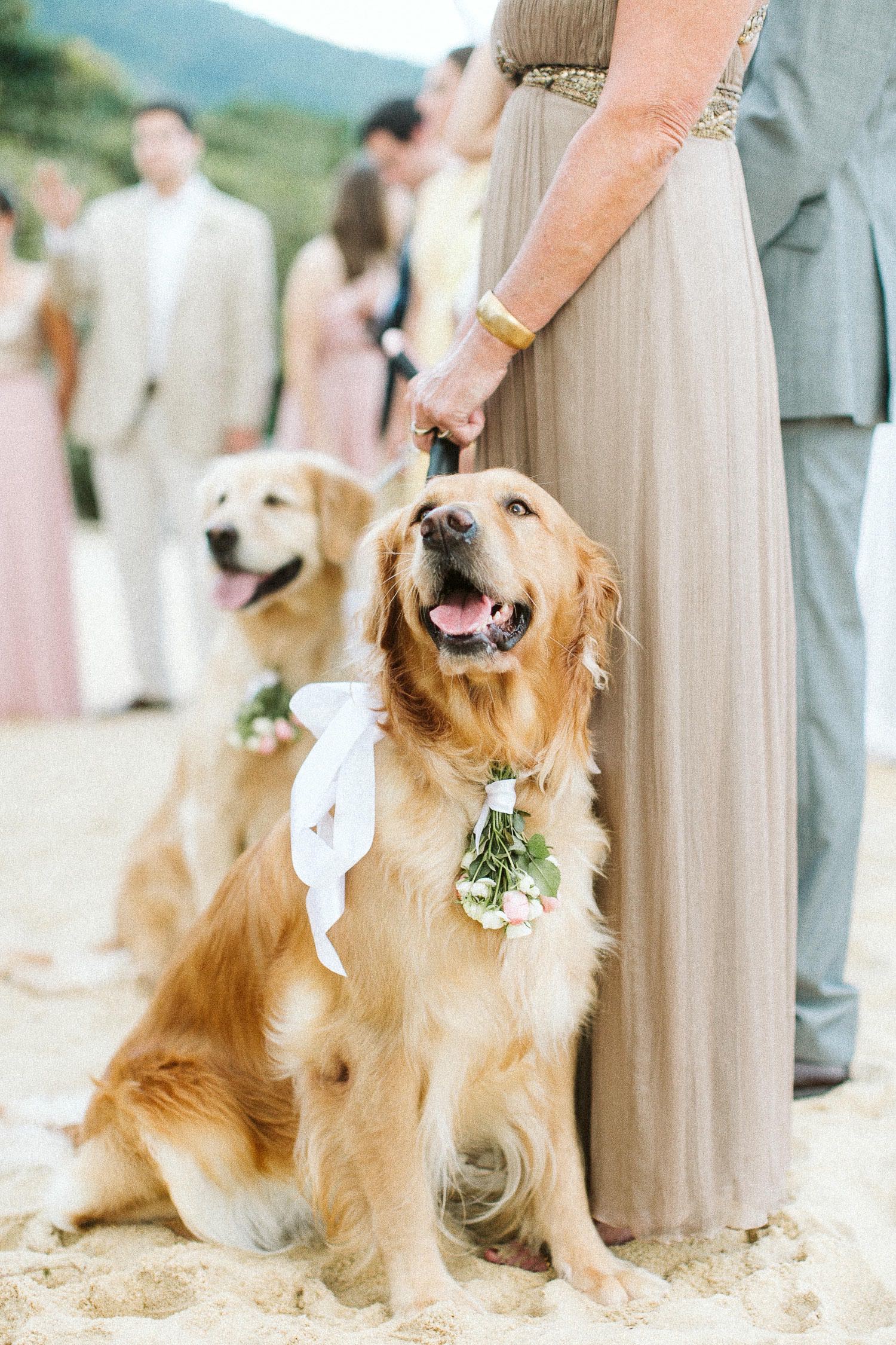 casamento-na-praia-toque-toque-pequeno-casa-2800029